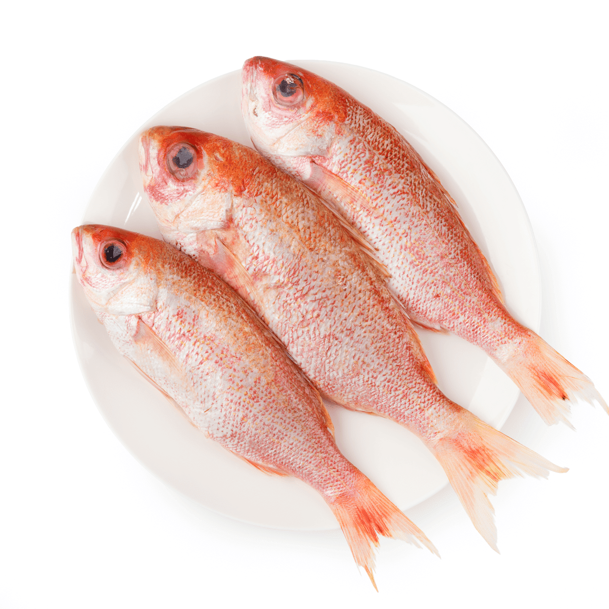 Whole Snapper 3-4 fish, Gilled, Gutted and Scaled, Frozen 2 lb
