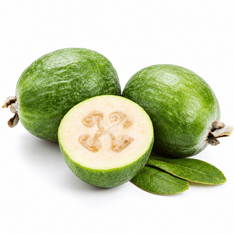 Feijoa 1 lb