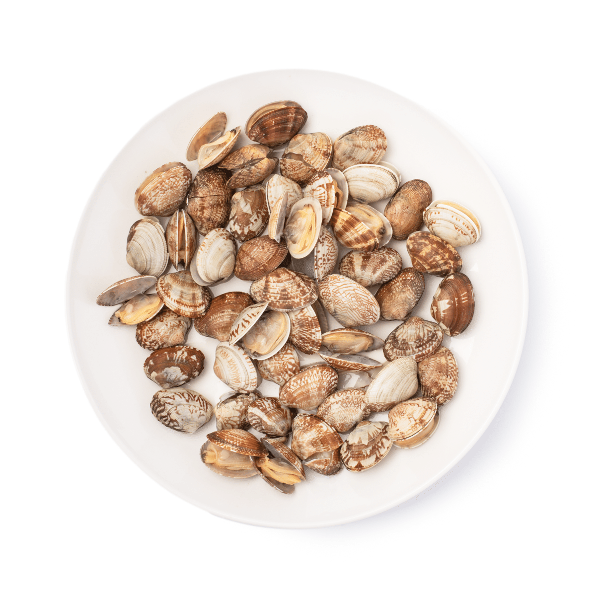 Boiled Clam, Frozen 1.5 lb