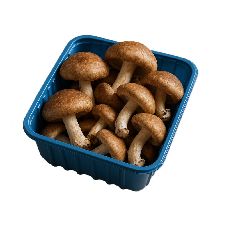 Organic Shiitake Mushrooms 8 onza(s)