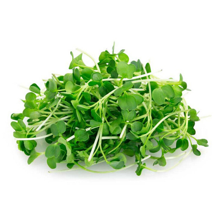 芝麻菜苗 1.75 盎司