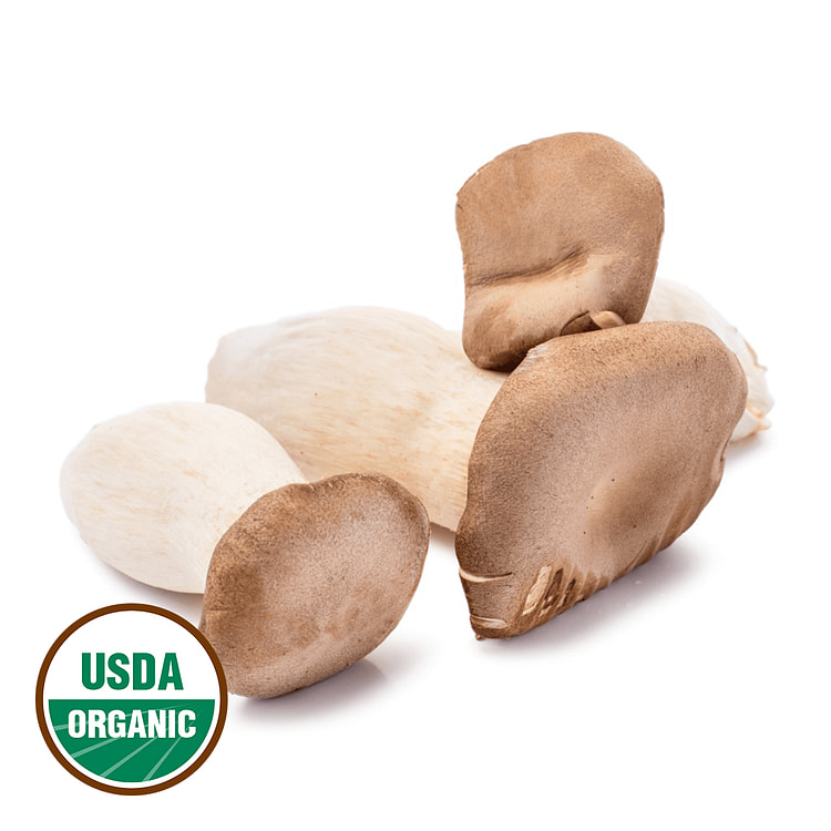 Organic King Oyster Mushrooms 1 each