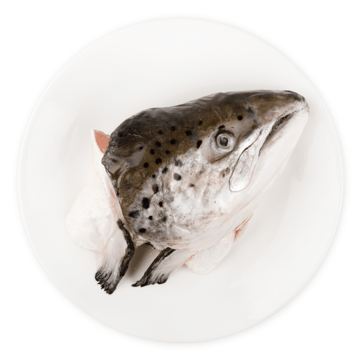 Atlantic Salmon Head Whole, Frozen 1-1.5 lb