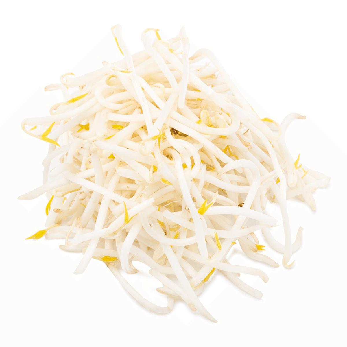 Mung Bean Sprouts 12 oz