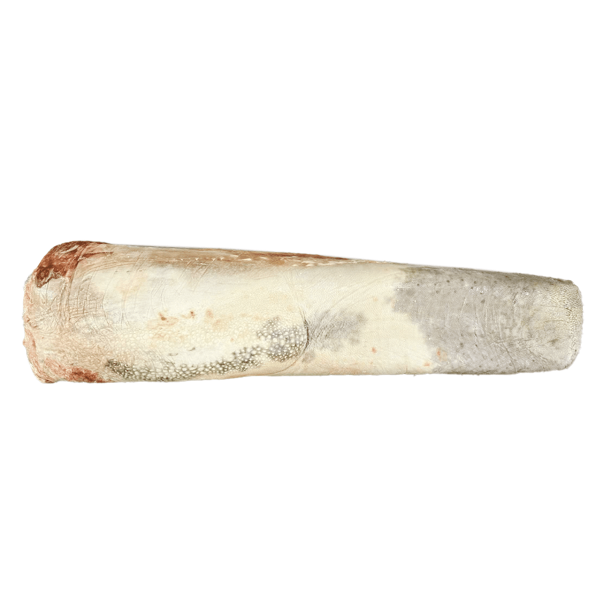 Beef Tongue, Whole, Skin-On, Frozen (Halal) 3-3.5 lb