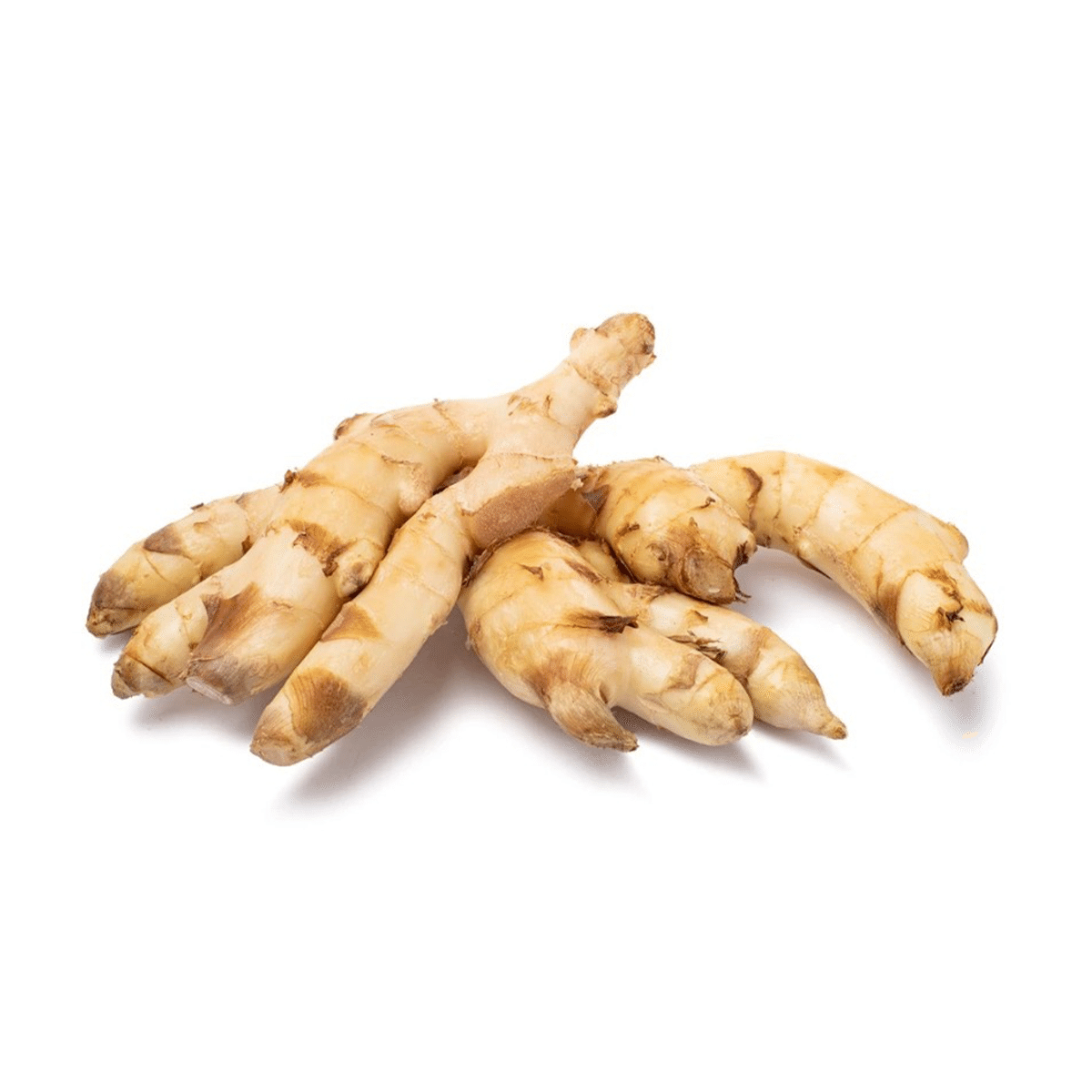 Young Ginger 1 lb