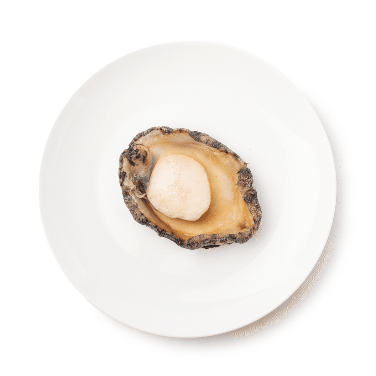 Australian Wild Caught Blacklip Abalone Meat 150-230 g
