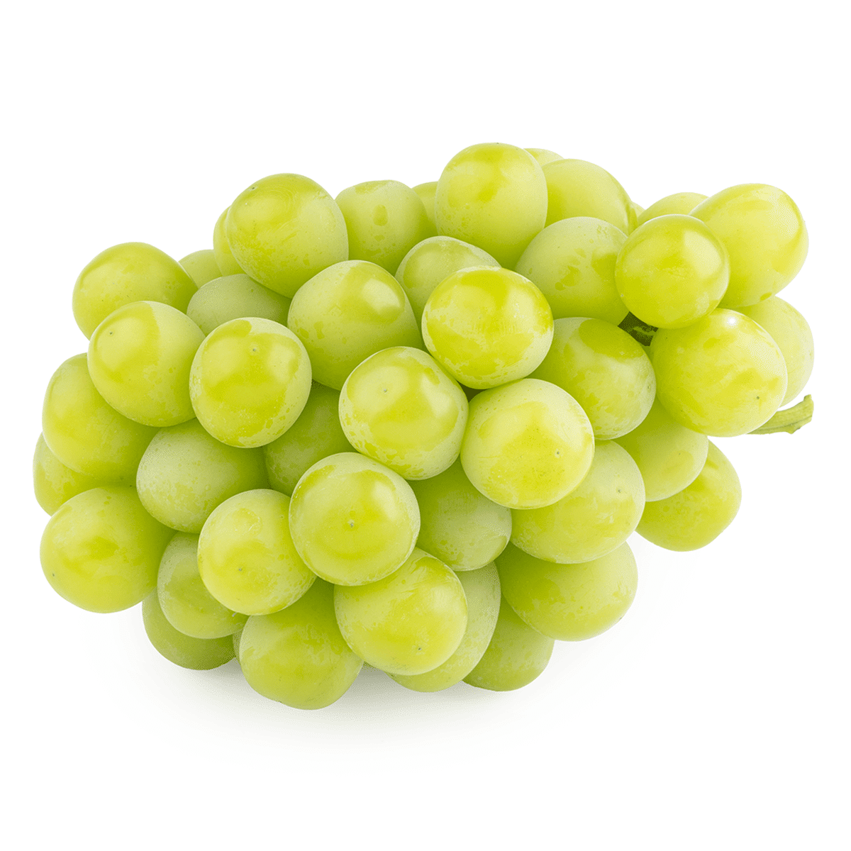 California Shine Muscat 1.2-1.6 lb 1 개