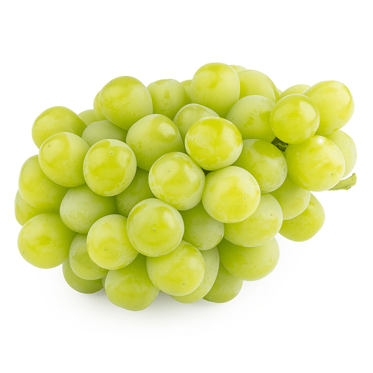 California Shine Muscat 1.2-1.6 lb 1 개