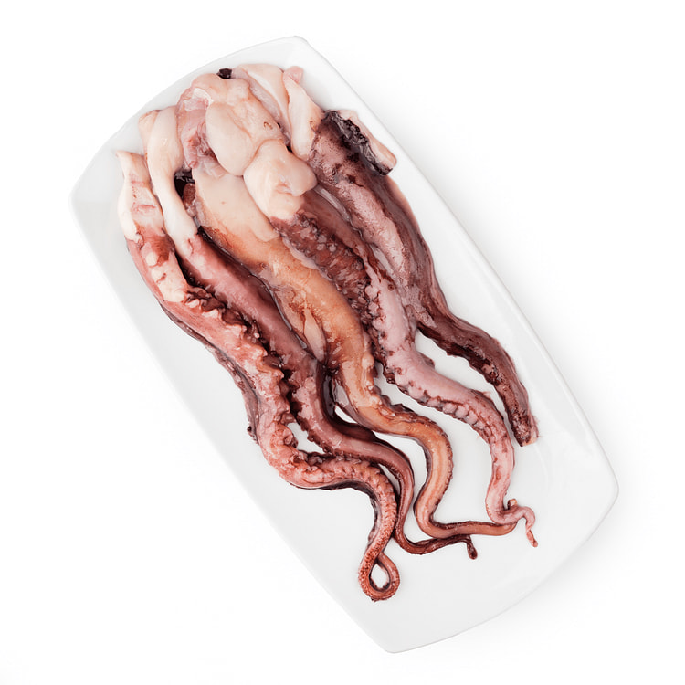 Peru Giant Squid Tentacles 16 oz