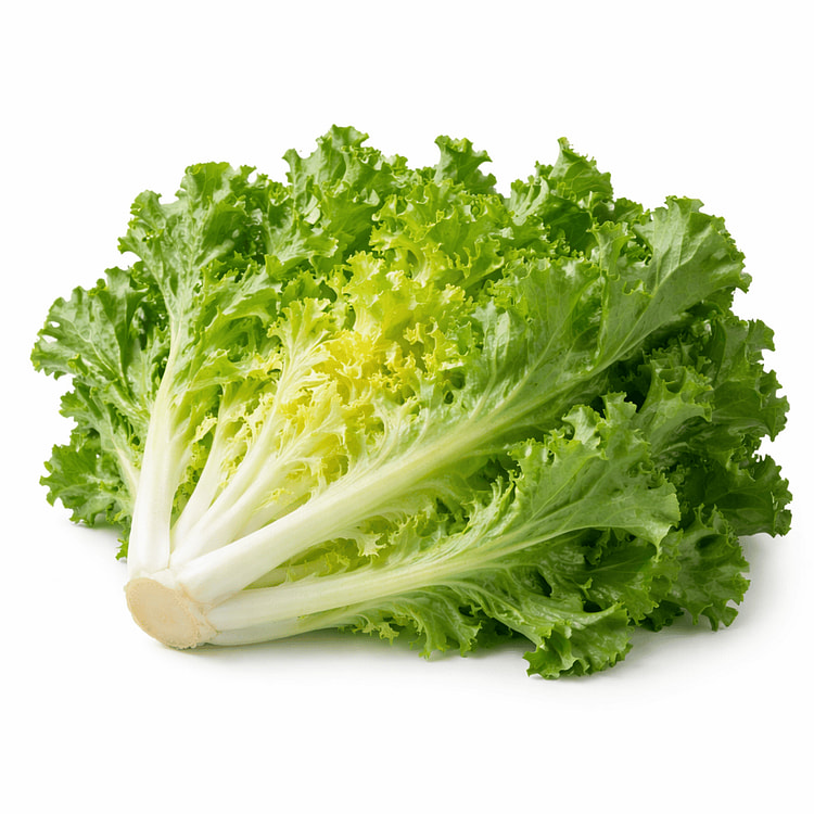 Escarole 1 manojo(s)