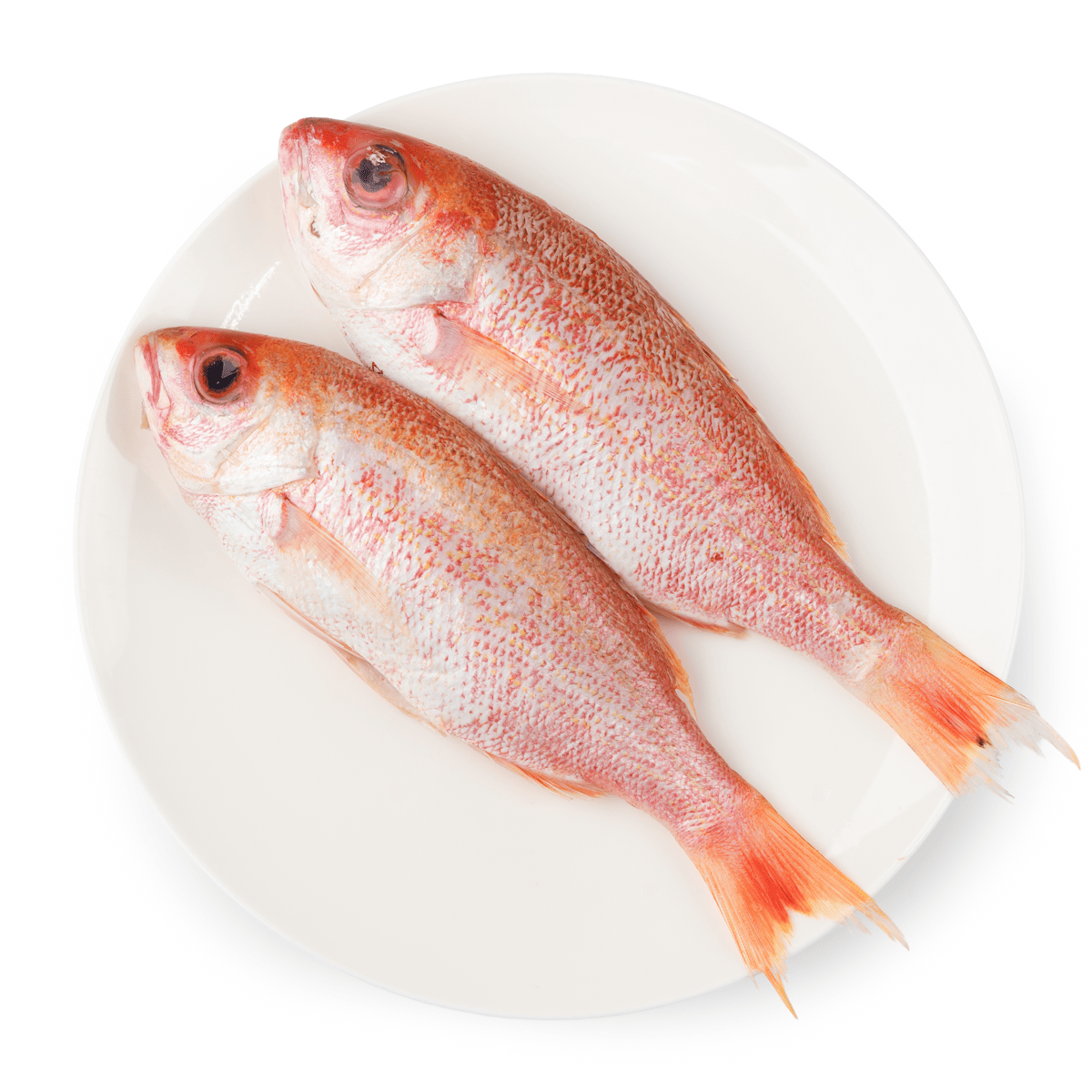 Get Caribbean Whole Red Snapper 2-3 fish, Gilled, Gutted and