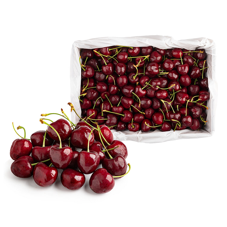 9.5 Row Washington Red Cherries export grade 5 libra(s)