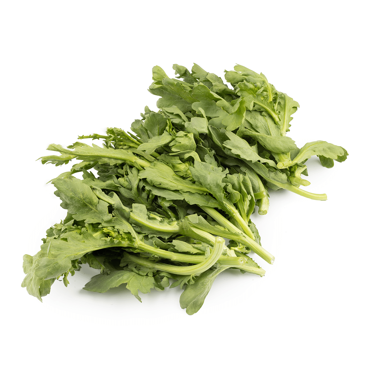 Large Chinese Chrysanthemum Crown Daisy Leaves 1.5 lb