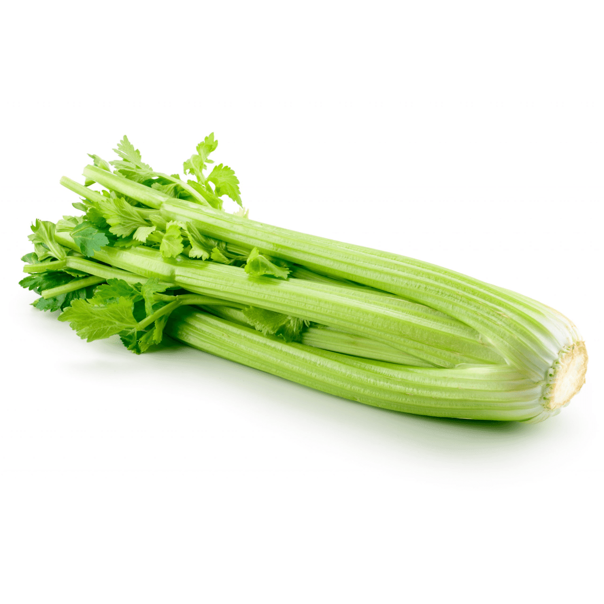Celery 1 bunch