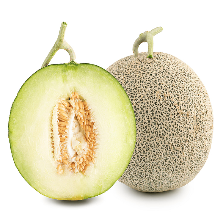 Hikari Melon 1 cái