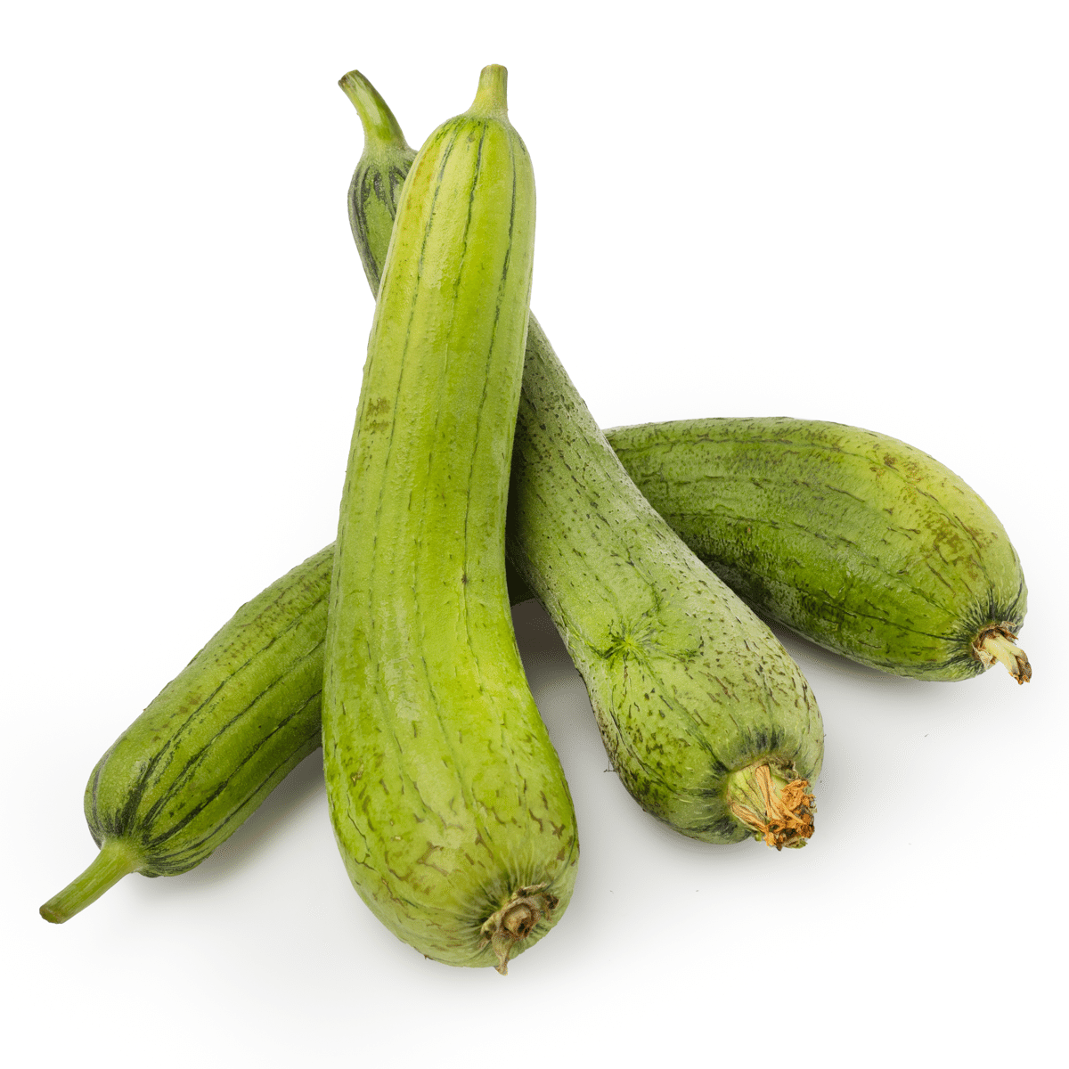Bucha Vegetal de Taiwan 3 lb