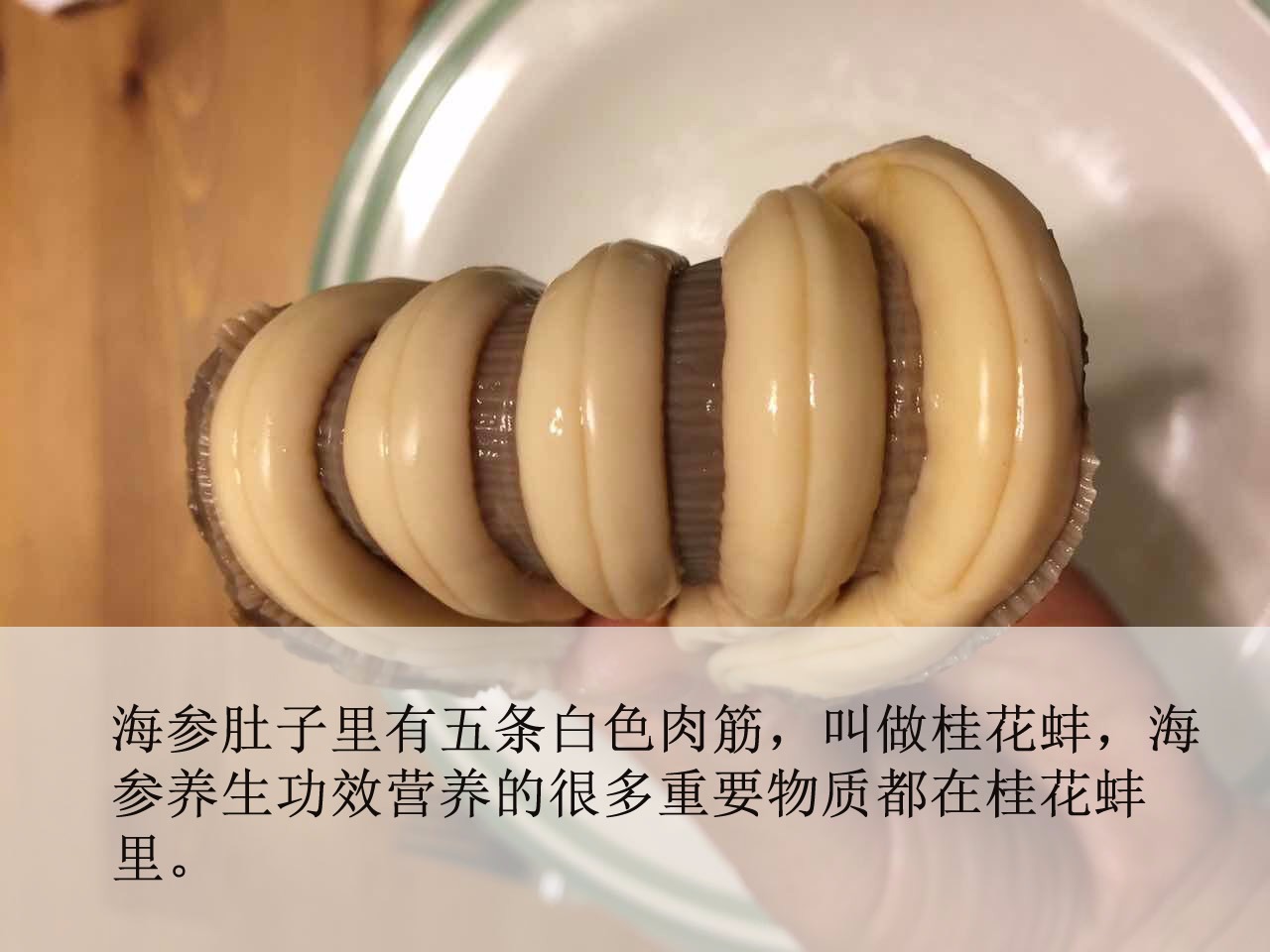 阿拉斯加拉盐渍半干海参大小混合含桂花蚌 Weee