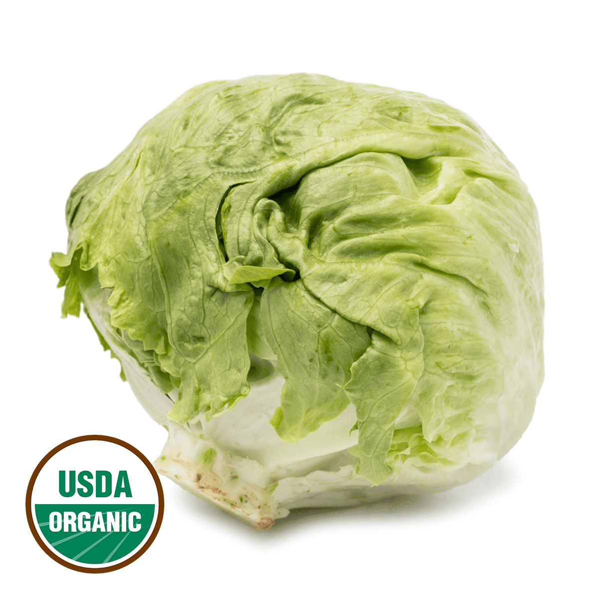 Organic Iceberg Lettuce 1 count