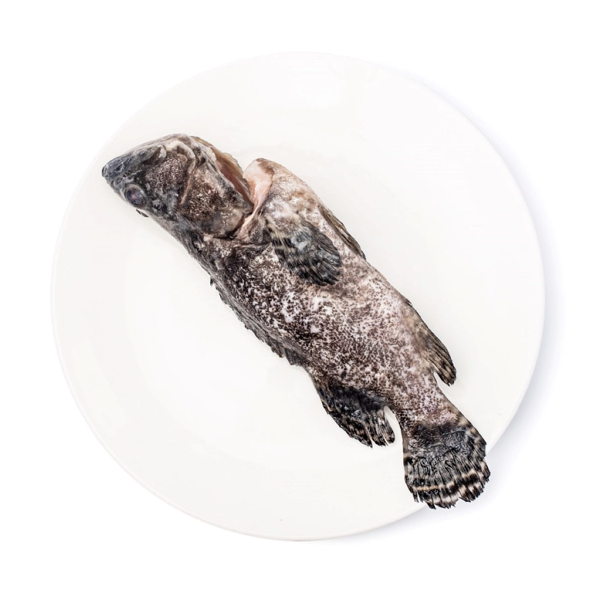 Canaan Pearl Grouper, Frozen 500-600 g