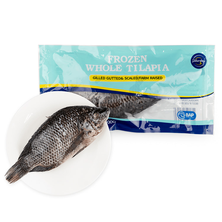 Tilápia GGS Pescada na Natureza 800-1000 g