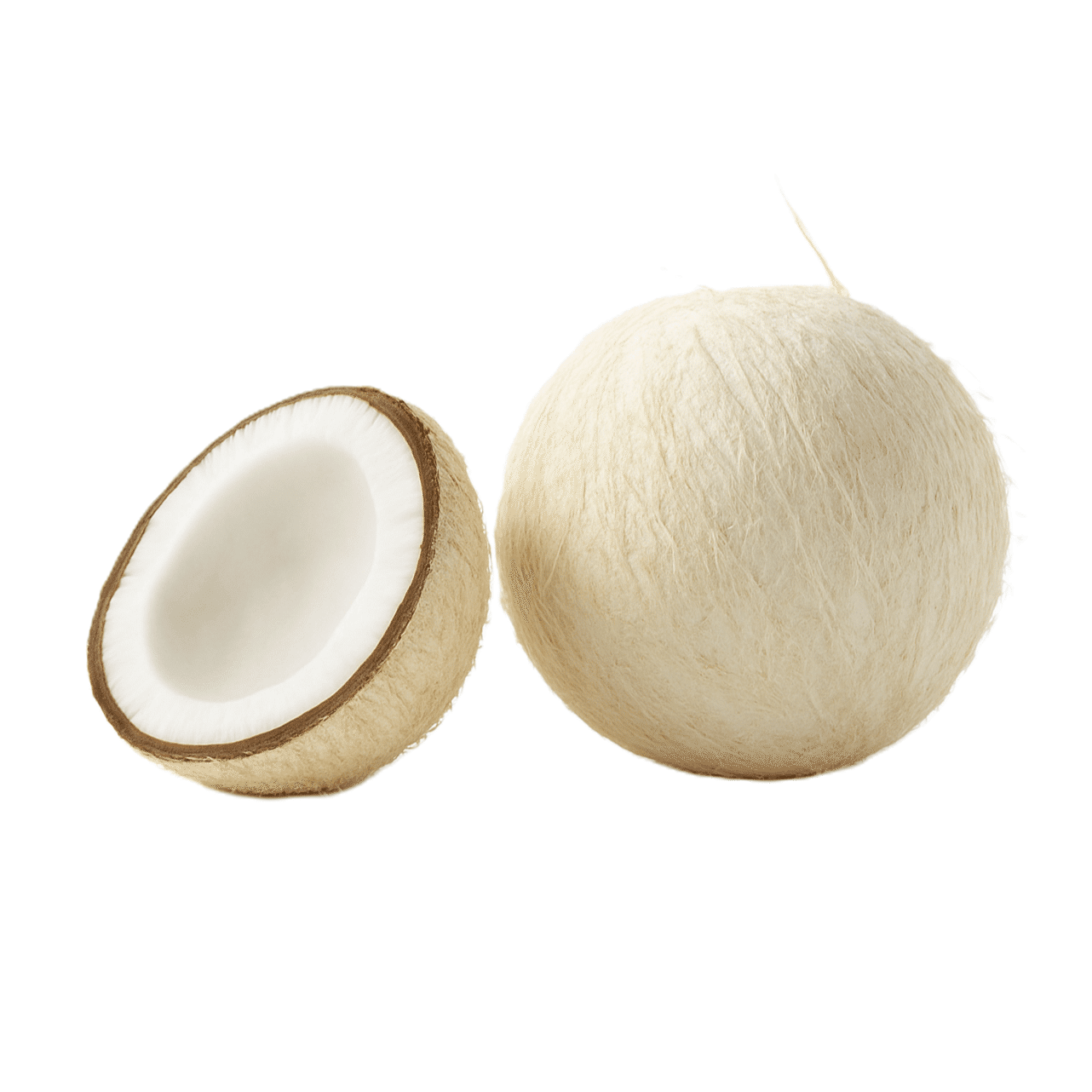 Coco branco 1 count