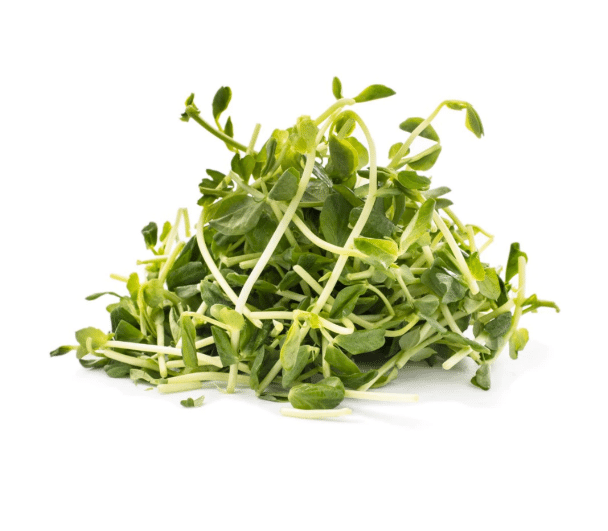 Brotos de ervilha 2 oz