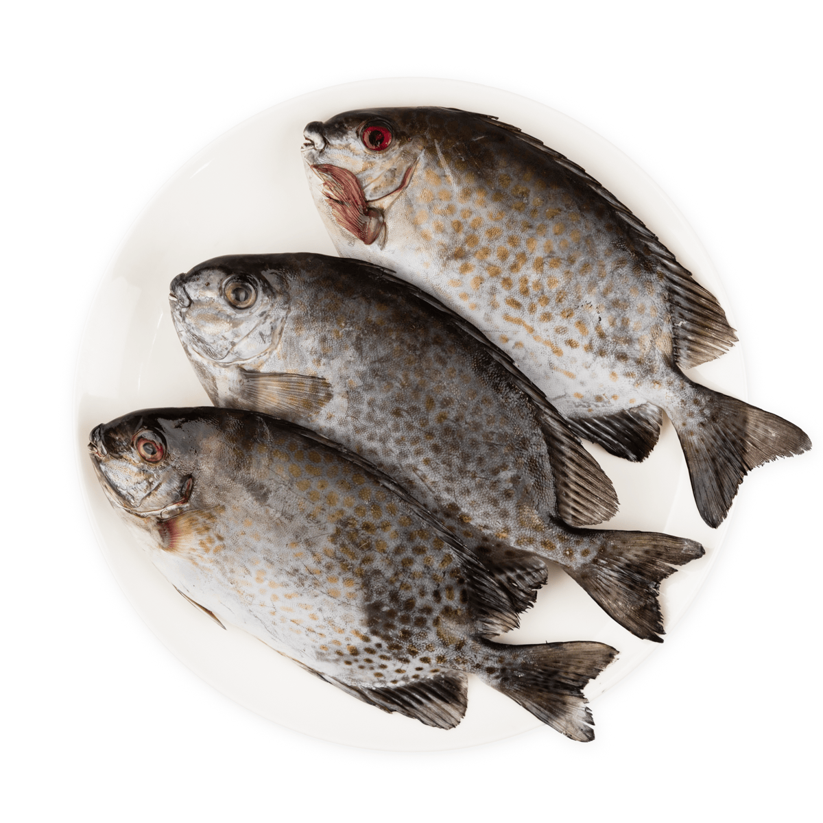 Get Whole Rabbit Fish 2 lb Delivered | Weee! Asian Market