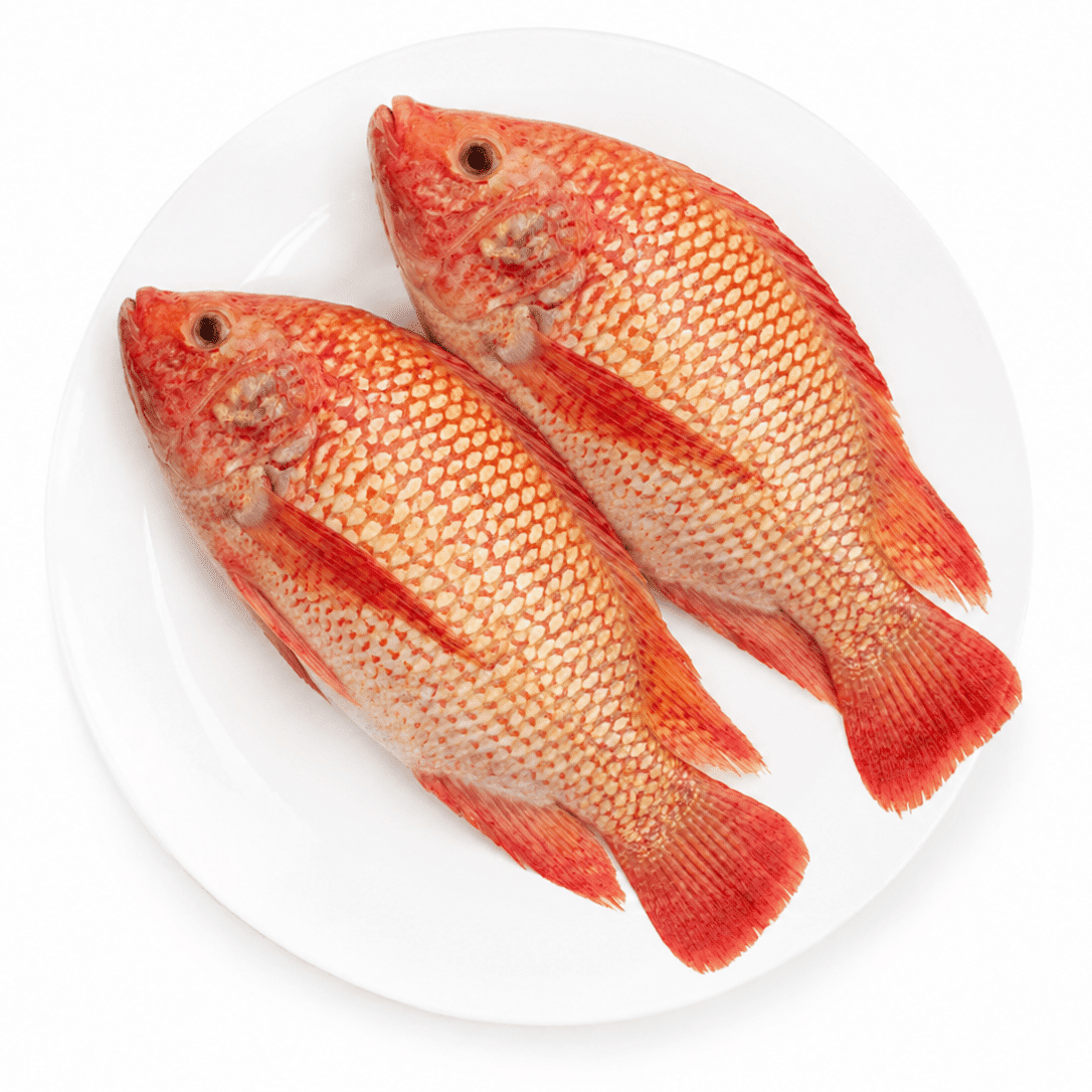Rainbow Red Tilapia Whole Cleaned 2 lb