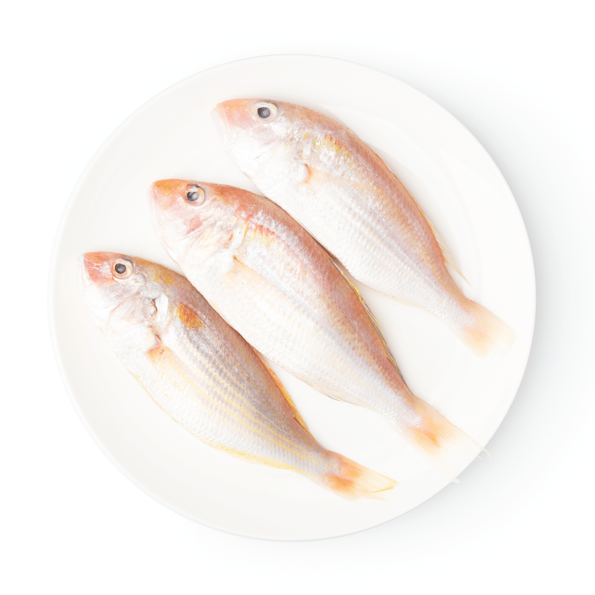Bisugo (Golden Thread), Frozen 2 lb