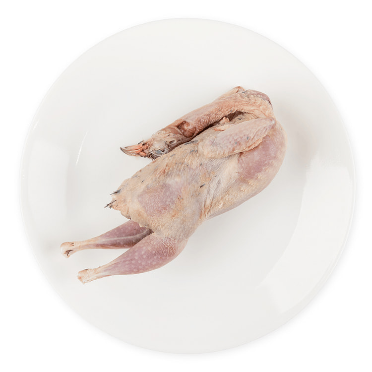 Partridges Frozen 10.6 oz