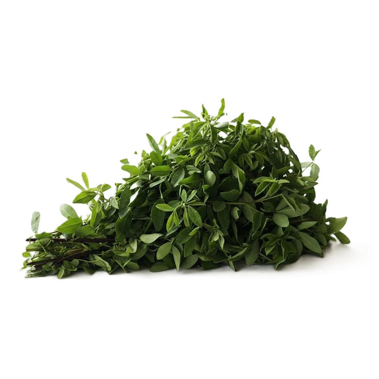 Chipilin 1 unidad(es)