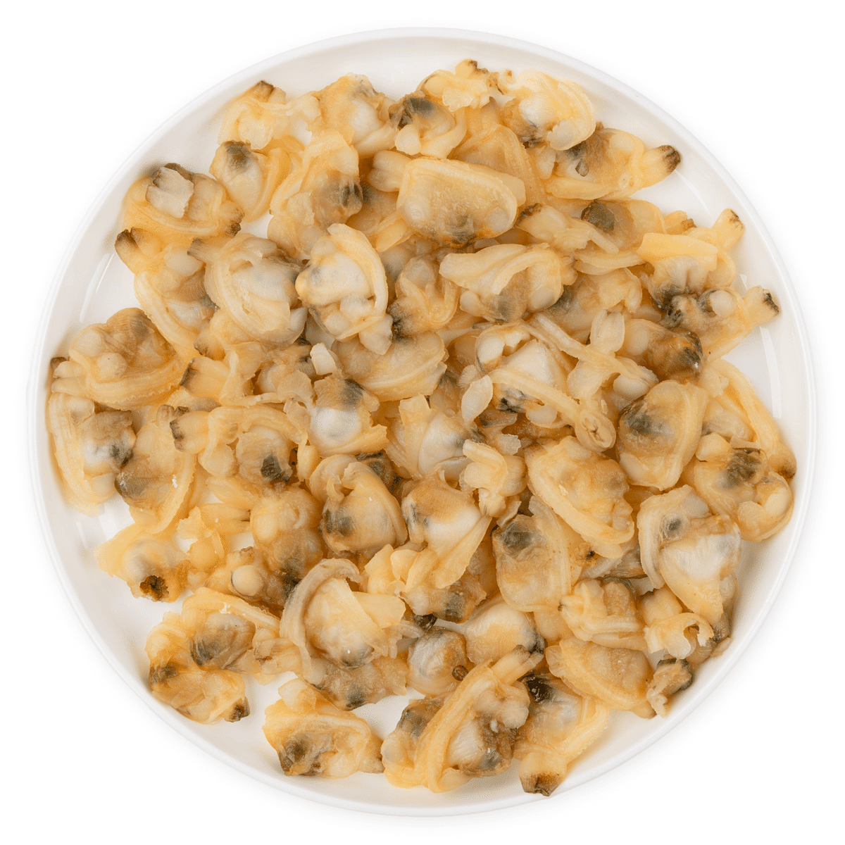 Pacific Marina Brand Frozen Cooked Clam Meat 200/300ct size 14 oz