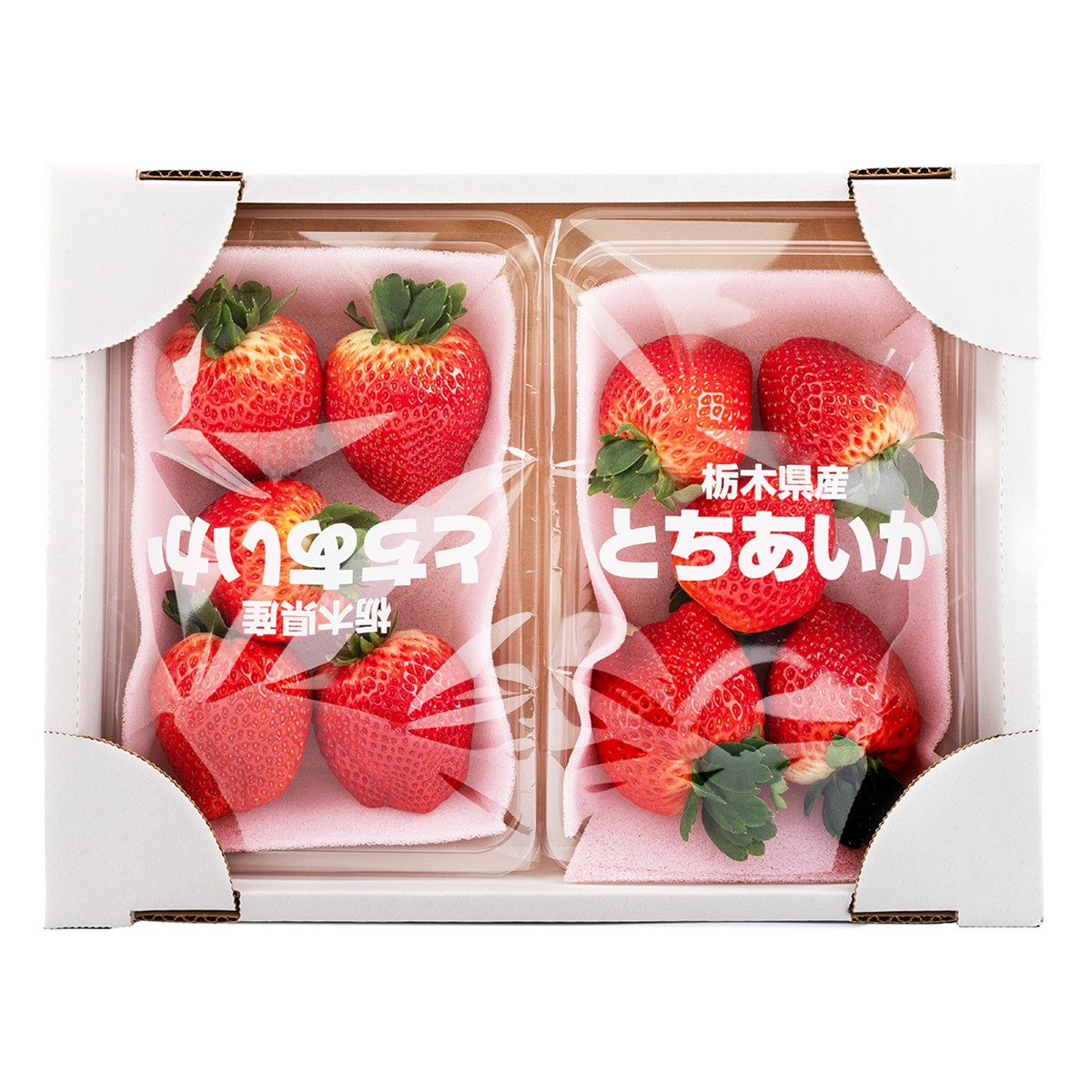 15C6D9CCC3096F57.png