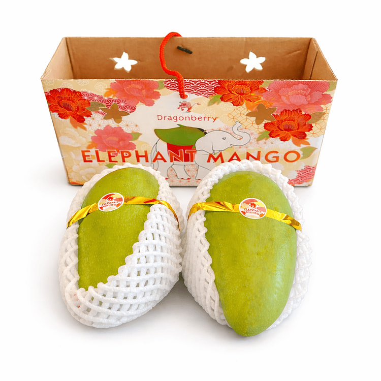 Elephant Mango 2ct Gift Box 1 unidad