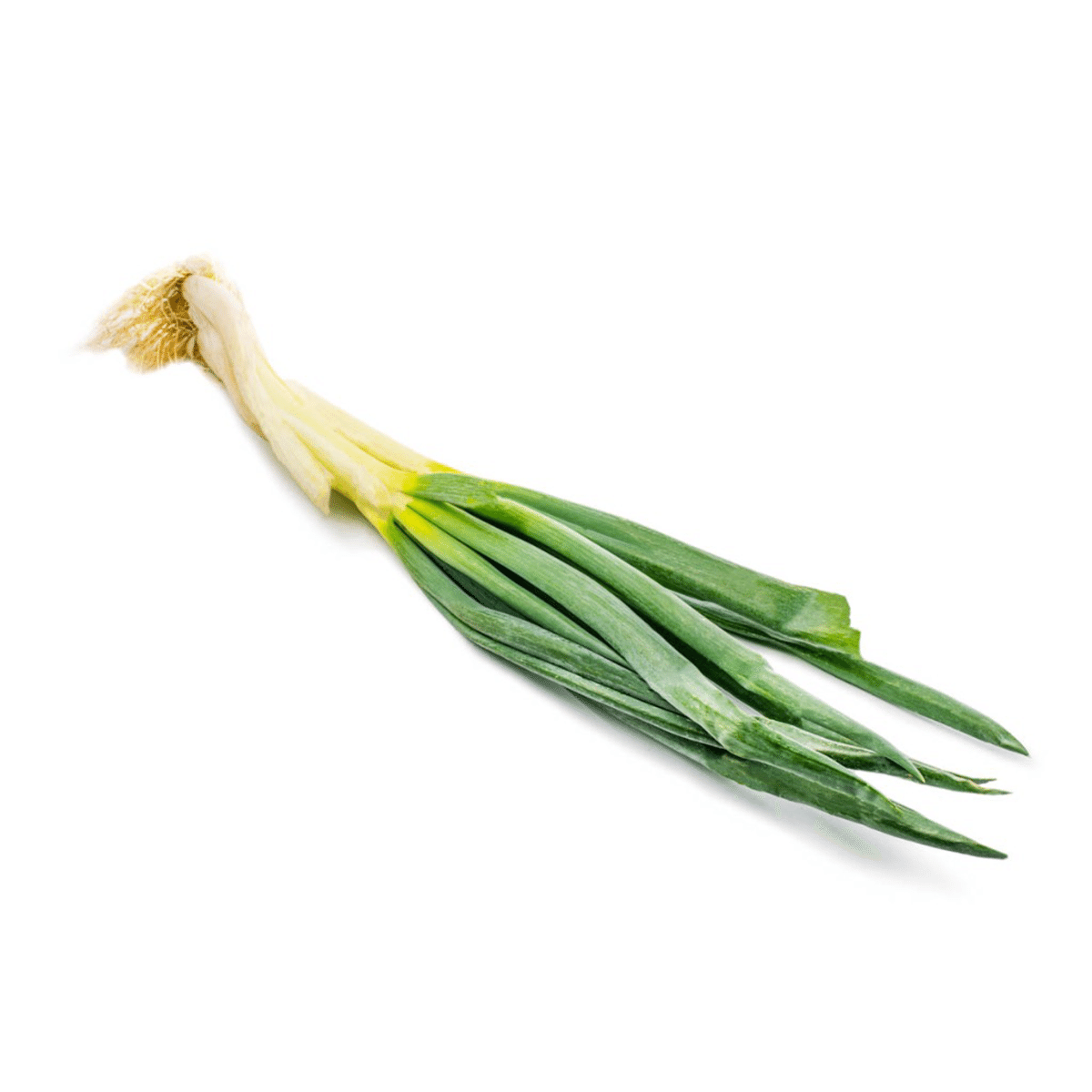 Alho-poró 1 bunch