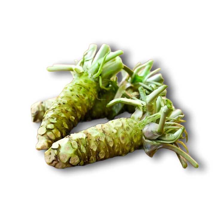 Get Fresh Wasabi Root Delivered | Weee! Asian Market