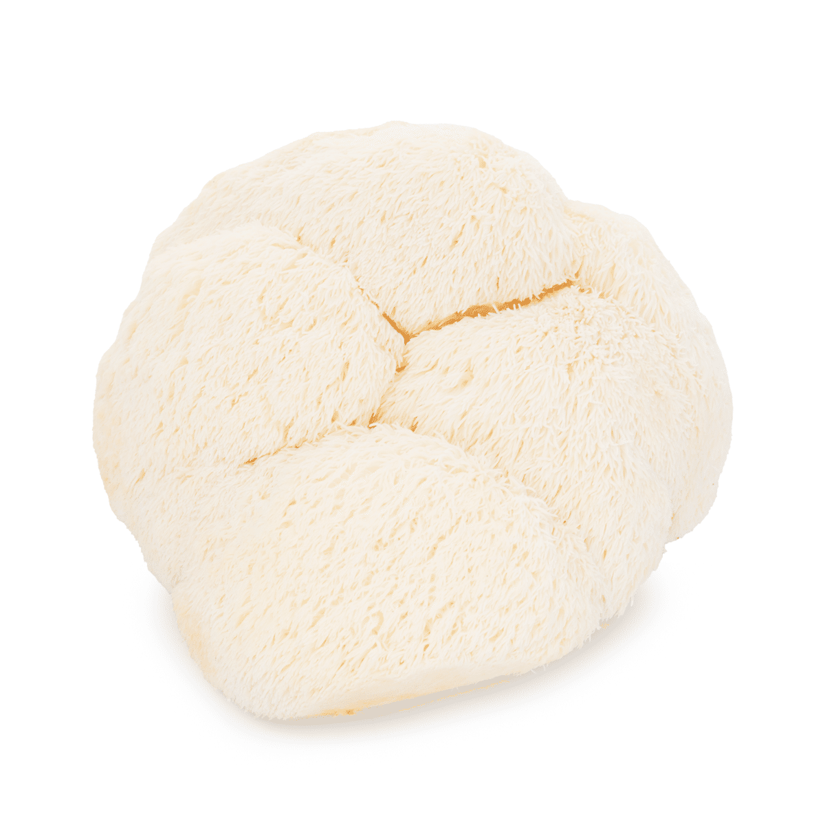 Pom Pom Mushroom 3.5 oz
