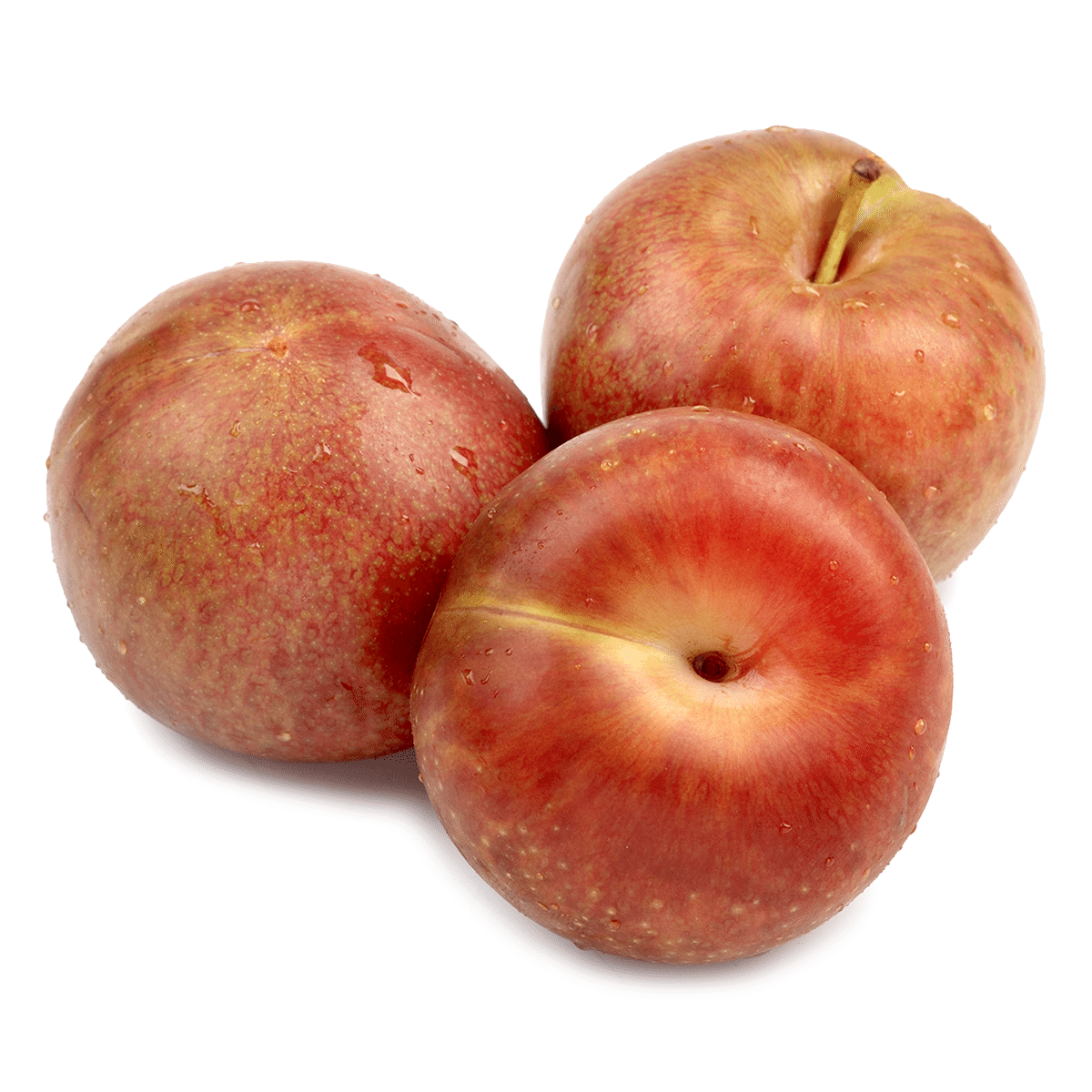 Red Pluot 1.8-2 lb