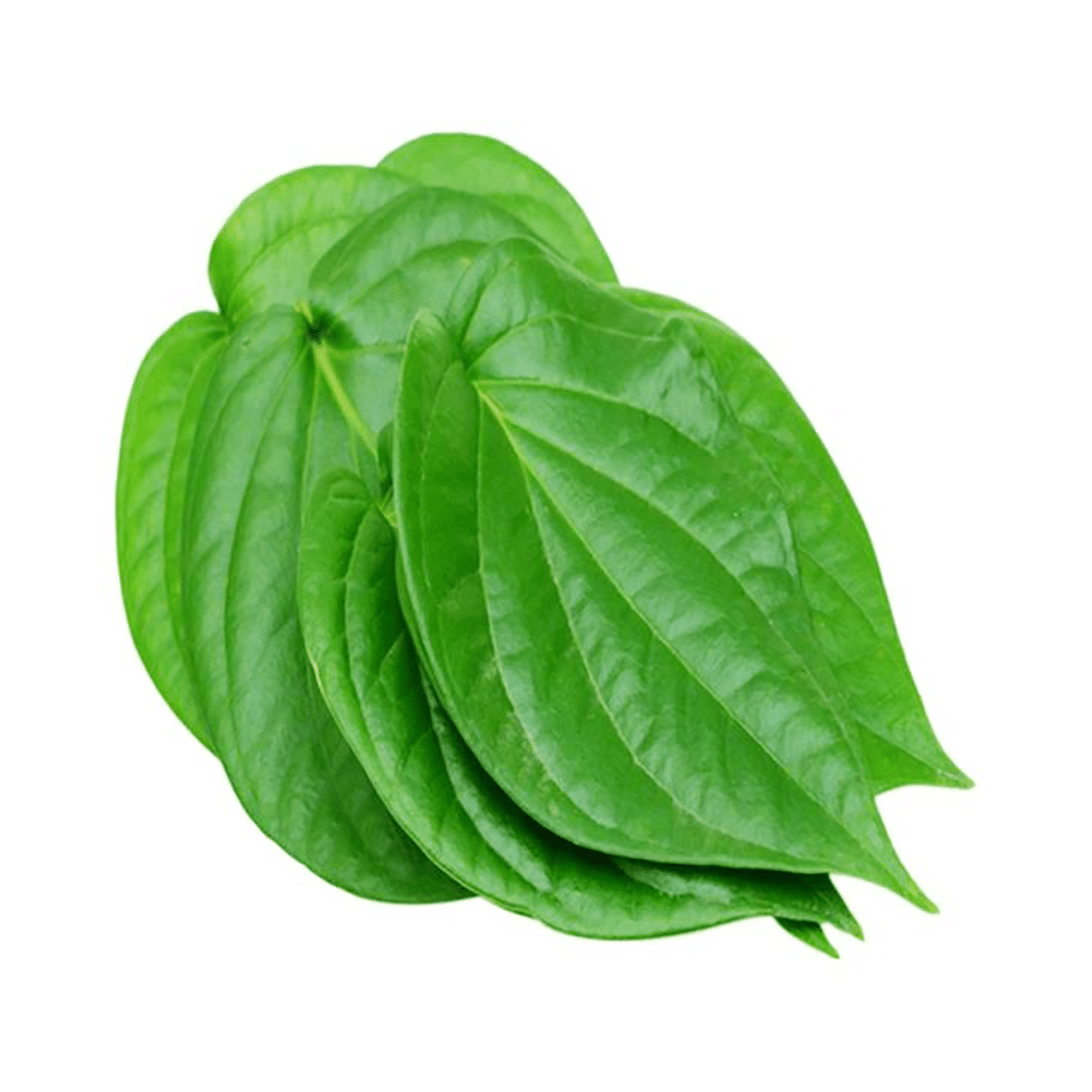 Paan (Betel Leaves) 0.75 oz
