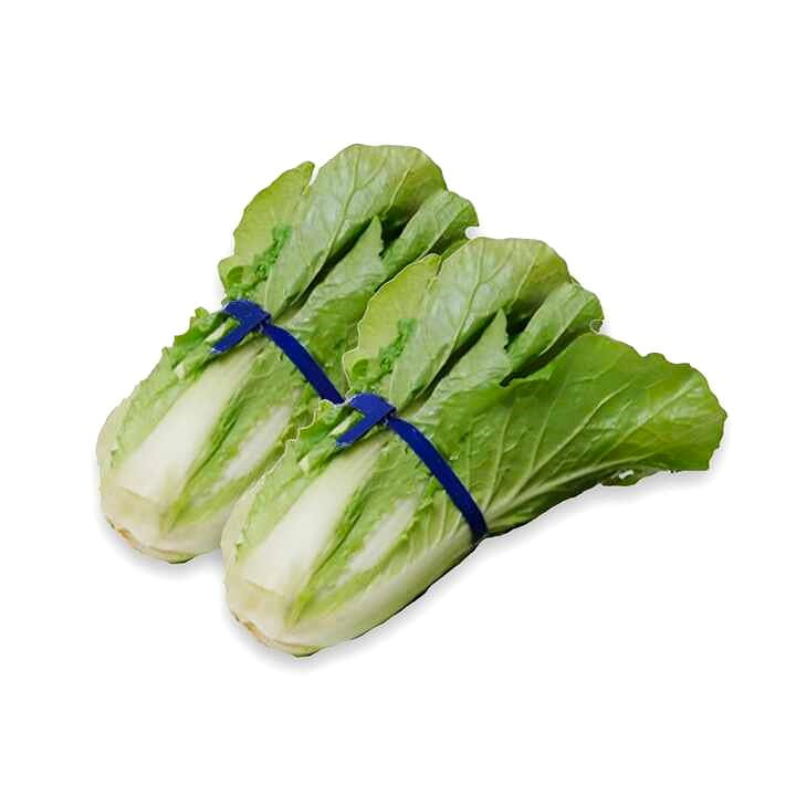 新鲜韩国小白菜 1 把