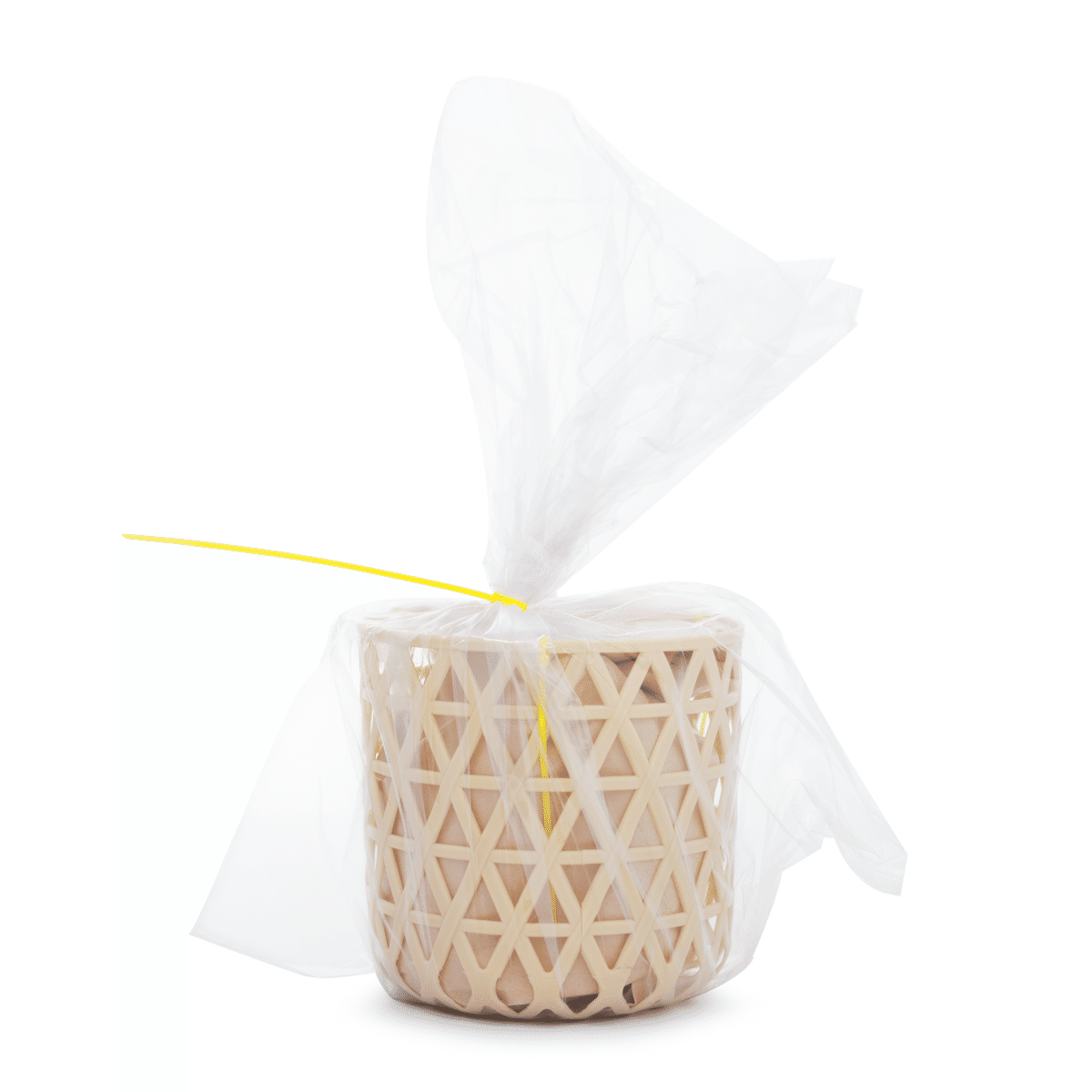 Tianmushan Dried Young Bamboo Shoots 16 oz