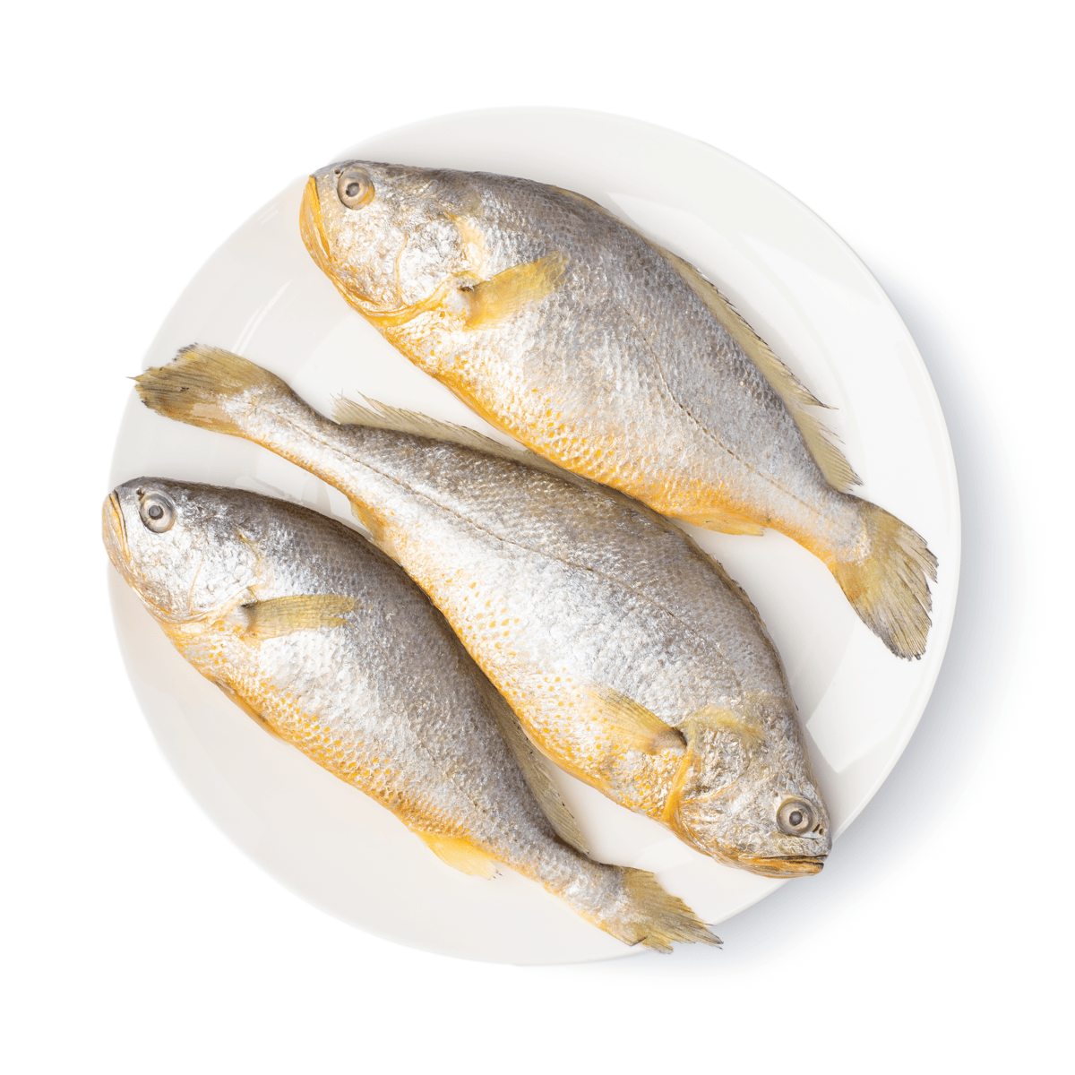 Whole Yellow Croaker 3pcs/PK , Frozen 1.05 lb