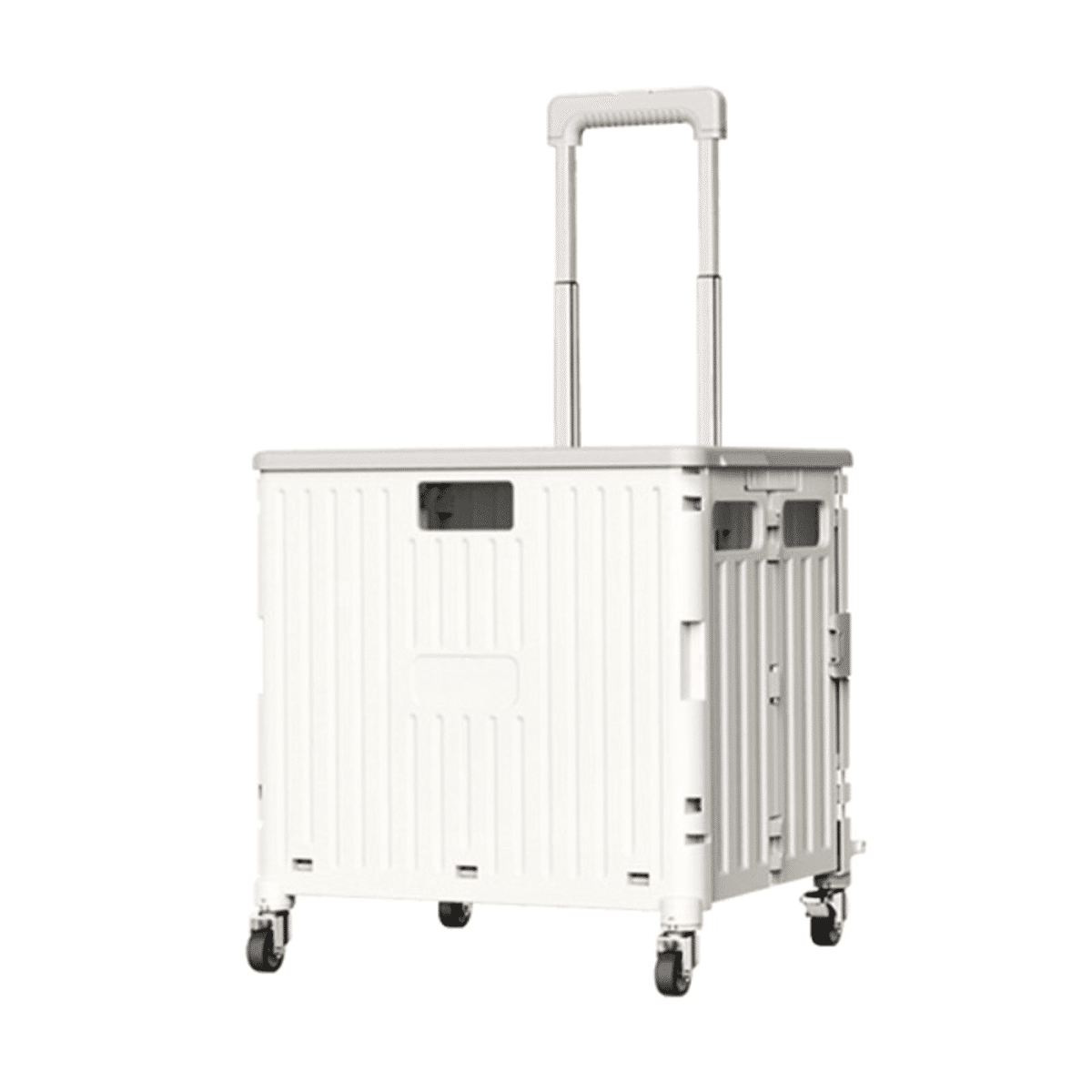 Carrinho Dobrável Portátil Leve HOMSMART 65L 1 unidade(s)