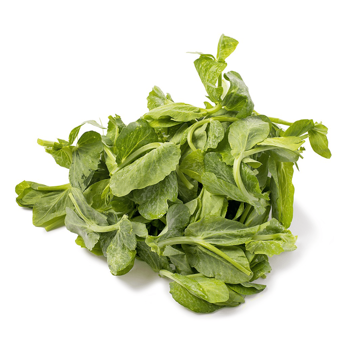 Snow Pea Tips 1 lb