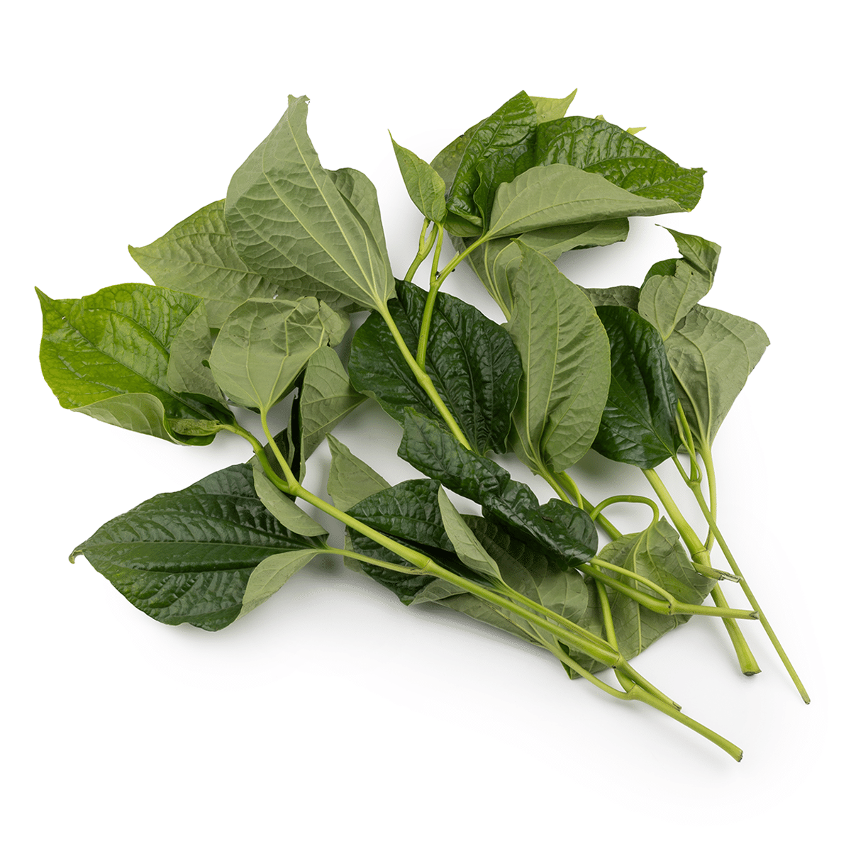 Piper La Lot Leaves 50 g