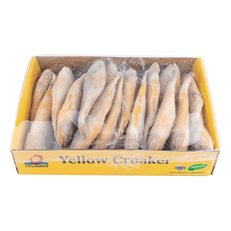 Corvina Amarela Pequena Selvagem Oceankist 60-80g Congelada