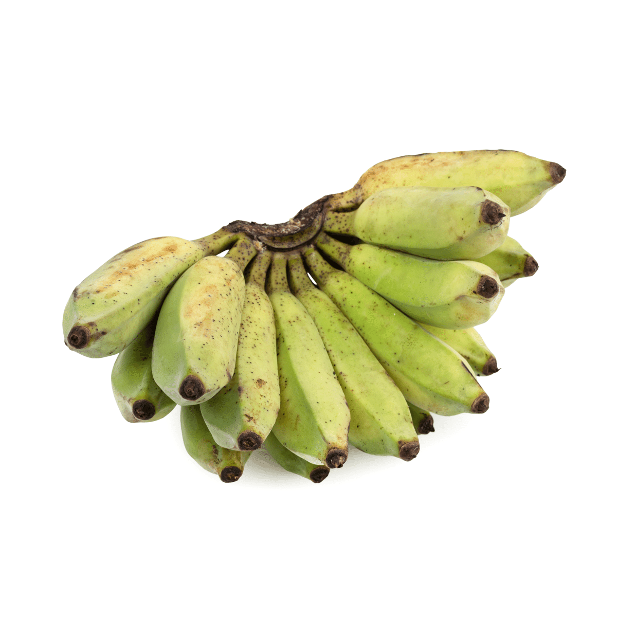 Banana Tailandesa 1 bunch