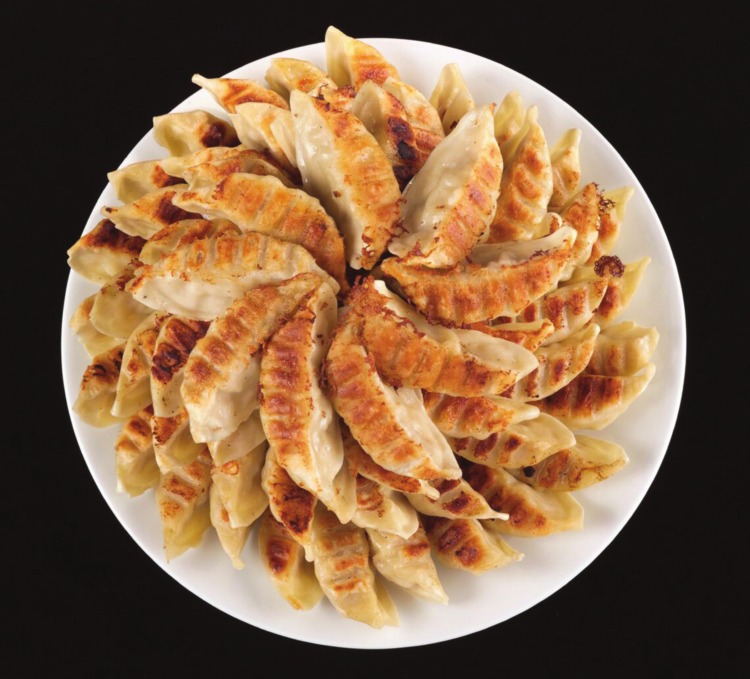 DayLee Pride Umami Gyoza Dumplings Pork and Leek Flavor, Frozen Weee!