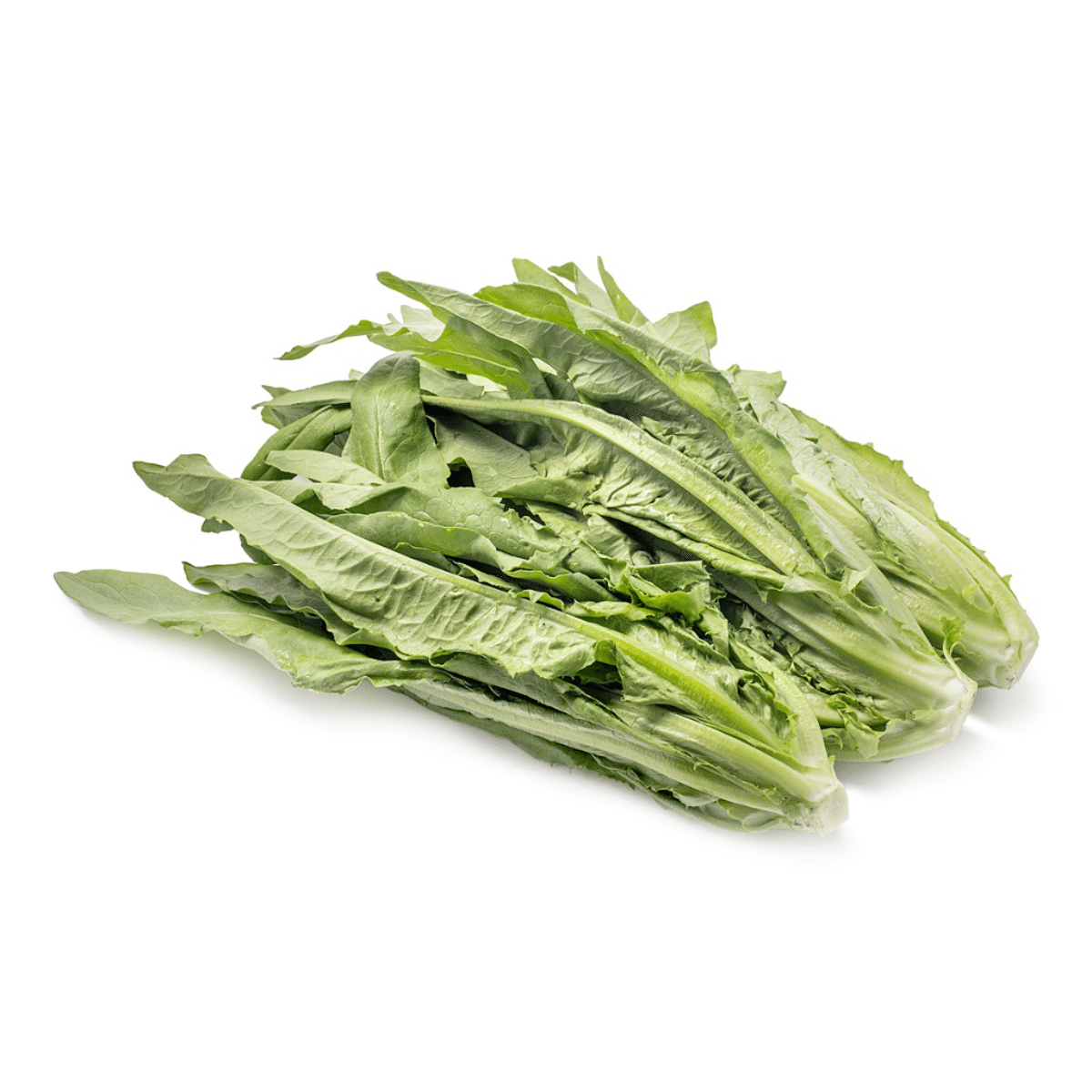 油麦菜 0.95-1.05 磅